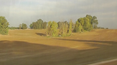 Scenery between Tel Aviv and Lod